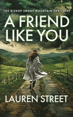 bokomslag Friend Like You