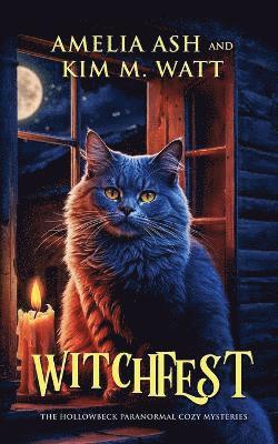 bokomslag Witchfest
