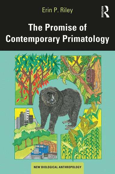 Erin P. Riley - Promise of Contemporary Primatology, Häftad