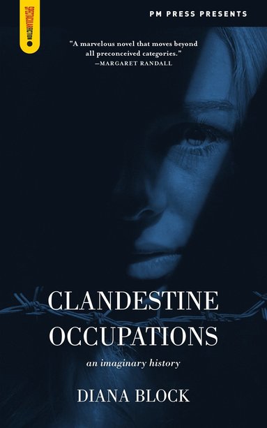 bokomslag Clandestine Occupations