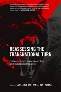 bokomslag Reassessing the Transnational Turn