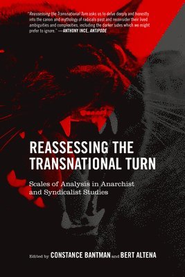 bokomslag Reassessing The Transnational Turn