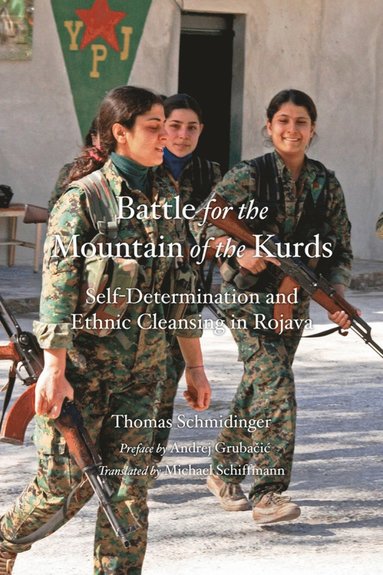 bokomslag Battle for the Mountain of the Kurds