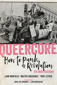 bokomslag Queercore