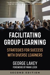 bokomslag Facilitating Group Learning