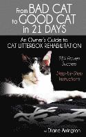 From Bad Cat to Good Cat in 21 Days 1