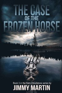 bokomslag The Case of the Frozen Horse