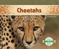Claire Archer - Cheetahs, Inbunden