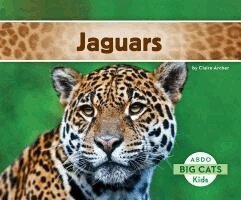 Claire Archer - Jaguars, Inbunden