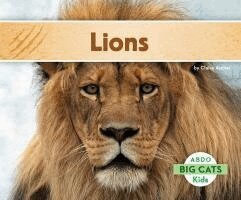 Claire Archer - Lions, Inbunden