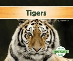 Claire Archer - Tigers, Inbunden
