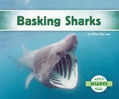 bokomslag Basking Sharks