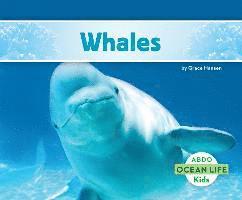 Whales 1