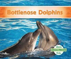 bokomslag Bottlenose Dolphins