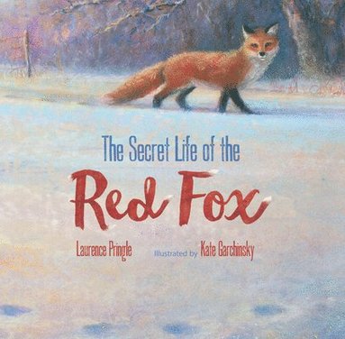 bokomslag Secret Life of the Red Fox