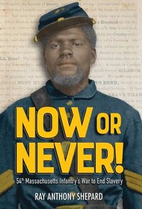 bokomslag Now or Never!