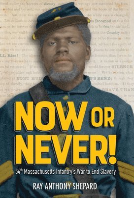 bokomslag Now or Never!