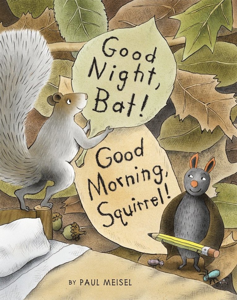 Paul Meisel - Good Night, Bat! Good Morning, Squirrel!, Inbunden