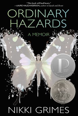 bokomslag Ordinary Hazards: A Memoir