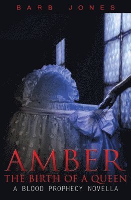 bokomslag Amber
