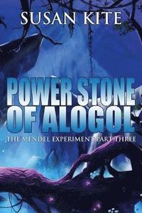 bokomslag Power Stone of Alogol