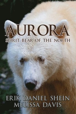 Aurora 1