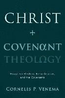 bokomslag Christ and Covenant Theology