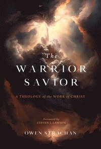 bokomslag Warrior Savior, The