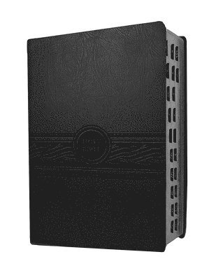 Faith Passio - MEV Personal Size Large Print Indexed, Charcoal, Inbunden