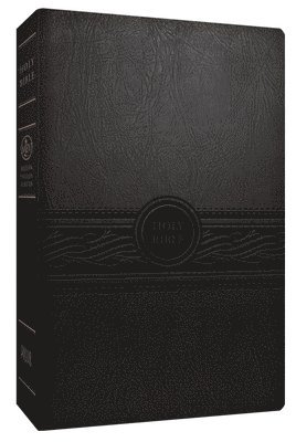 Faith Passio - MEV Personal Size Large Print, Charcoal, Inbunden
