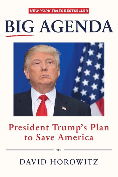 David Horowitz - BIG AGENDA, Inbunden