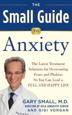 bokomslag Small Guide to Anxiety