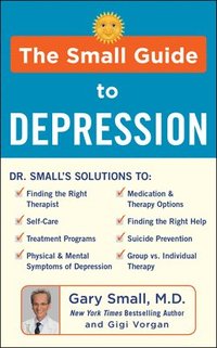 bokomslag The Small Guide to Depression