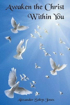 Alexander Soltys Jones - Awaken the Christ Within You, Häftad
