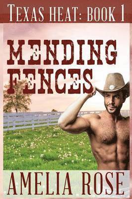 bokomslag Mending Fences