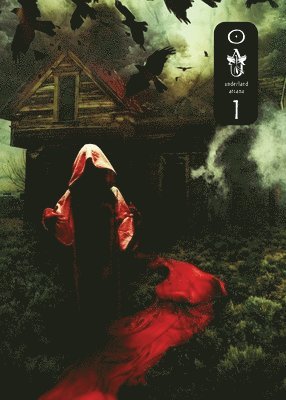 Jessie Kwak, Michael Barsa, Mark Teppo - Underland Arcana 1, Häftad