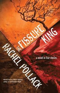 bokomslag The Fissure King