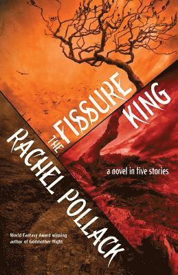 Rachel Pollack - Fissure King, Häftad