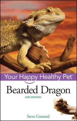 bokomslag Bearded Dragon