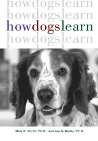 bokomslag How Dogs Learn
