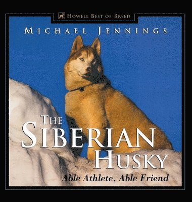 bokomslag The Siberian Husky