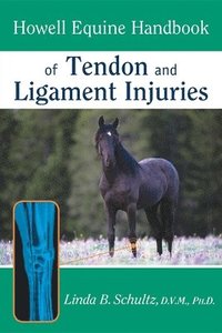 bokomslag Howell Equine Handbook of Tendon and Ligament Injuries