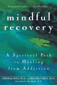 bokomslag Mindful Recovery