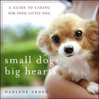bokomslag Small Dogs, Big Hearts