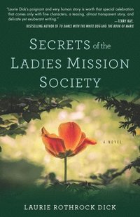 bokomslag Secrets of the Ladies Mission Society