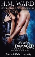 bokomslag Life Before Damaged, Vol. 9 (The Ferro Family)
