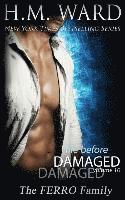 bokomslag Life Before Damaged, Vol. 10 (The Ferro Family)