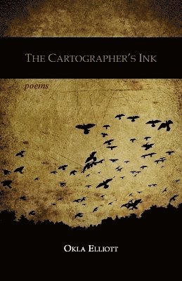 bokomslag Cartographer's Ink
