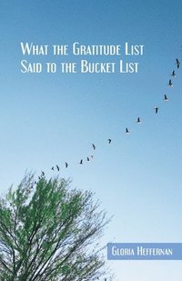 bokomslag What the Gratitude List Said to the Bucket List