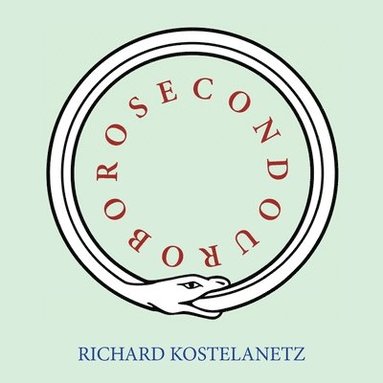 bokomslag Secondouroboros